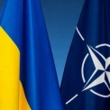 Україна отримає доступ до централізованих закупівель НАТО для зброї та техніки