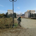 Херсон ожив після режиму тиші: на вулицях побільшало людей — Лубінець
