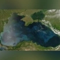 Україна заблокувала головування росії в Комісії із захисту Чорного моря